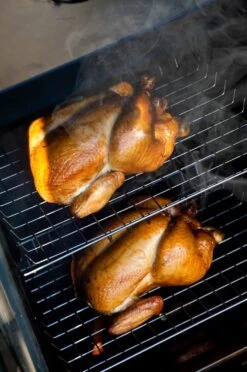 Bradley Digital Smoker 4-Rack / Elektro Räucherofen -Camping Geschäft 13238 Bradley Smoker Gefluegel