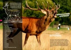 Don Marcos Wild Kitchen 1.0 - Das Buch Zum Gewürz 18 Don Marcos Wild Kitchen 1.0 - Das Buch Zum Gewürz -Camping Geschäft 19383 Don Marcos Barbecue Wild Kitchen P 8 1558084592