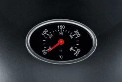 Severin Elektrogrill - Standgrill Mit Grillplatte Und Haube - 2.000 W -Camping Geschäft 21547 severin pg8541 barbecue elektrogri 6 1590737833