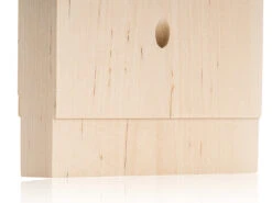 Axtschlag Flammlachsbrett Premium Line Kirsche - Klemmhalterung - Mit Patentierter Halterung Für Feuerstelle, Grillrost Und Gasgrill -Camping Geschäft Axtschlag Flammlachsbrett Premium Line Birke Nut 1