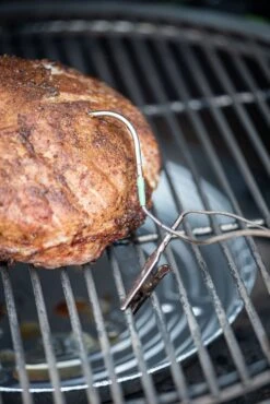 Big Green Egg EGG Genius Temperatursteuerung -Camping Geschäft Big Green Egg EGG Genius Fleischsonde 121059