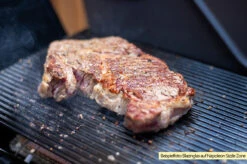 Outdoorchef Blazinglas® L Für Napoleon Rogue XT, Freestyle, Outdoorchef Dualchef, Broil King Infrarotbrenner, Rösle Prime Zone Videro, Grillfürst G-Modelle, Santos S-Serie, Burnhard Earl -Camping Geschäft Blazinglas Napoleon Sizzlezone 1