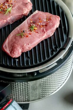 Cobb Grill Premier Gas Deluxe 2.0 - Gasgrill - Kartuschenanschluss - Modell 2023 17 Cobb Grill Premier Gas Deluxe 2.0 - Gasgrill - Kartuschenanschluss - Modell 2023 -Camping Geschäft Cobb Grasgrill Premier Deluxe 2 Griddle Grillplatte