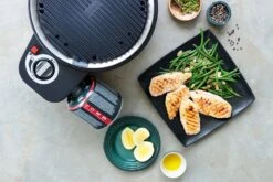 Cobb Grill Premier Gas Deluxe 2.0 - Gasgrill - Kartuschenanschluss - Modell 2023 16 Cobb Grill Premier Gas Deluxe 2.0 - Gasgrill - Kartuschenanschluss - Modell 2023 -Camping Geschäft Cobb Grill Premier Gas Deluxe 2 0 Grillplatte