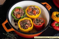 Grillfürst Emaillierter Dutch Oven Ohne Füsse DO12 - Rot -Camping Geschäft Grillfuerst Dutch Oven emailliert Beispiel DO7 5 orange 1