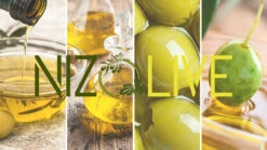 Grillfürst Feinkost - Olivenöl Niz Olive Memecik - Nativ Extra - Mehrfach International Preisgekrönt - 500ml -Camping Geschäft Grillfuerst Feinkost Olivenoel nativ Extra gruene Oliven