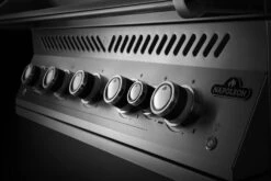 Napoleon 700-Series 38" BIG38 Edelstahl Einbaugrill Inkl. Drehspieß - Modell 2023 -Camping Geschäft Napoleon Einbaugrill 700 Series BIG38 Bedienblende