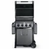 Napoleon Freestyle 425 Gasgrill, Graphit - Modell 2023 -Camping Geschäft Napoleon Freestyle 425 Gasgrill deckel offen