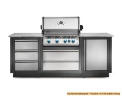 Napoleon Outdoor Küche Oasis Abschluss-Paneele -Camping Geschäft Napoleon Outdoor Kueche Oasis Schubladen Schrank