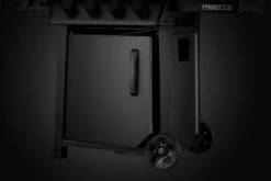 Napoleon Phantom Freestyle 425 Gasgrill, Mattschwarz - Mit Sizzle Zone Und Tür - Modell 2023 -Camping Geschäft Napoleon Phantom Freestyle F425DSIBPK PHM Detail Compartment