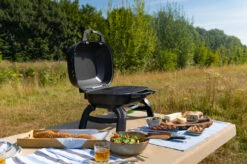 Napoleon TravelQ 240 Kompakt Gasgrill Schwarz- Modell 2023 -Camping Geschäft Napoleon TravelQ TQ240 Kompaktgrill