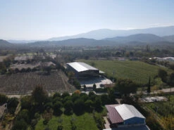 Grillfürst Feinkost - Olivenöl Niz Olive Memecik - Nativ Extra - Mehrfach International Preisgekrönt - 500ml -Camping Geschäft Niz Olive Produktionsstaette bestes Olivenoel weltwet