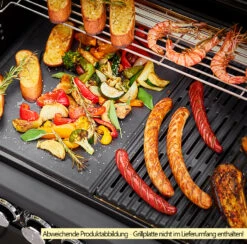 Rösle Gasgrill Magnum PRO G4-S Inkl. Abdeckhaube - Modell 2023 -Camping Geschäft Roesle Magnum Pro G4 S Grillflaeche 3