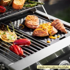 Rösle Gasgrill Videro G2-P Campinggrill -Camping Geschäft Roesle Videro G2 P Gasgrill Beispiel mit Grillplatte