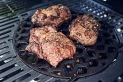 Enders Switch Grid Einsatz: Sear Grate Gusseisenrost -Camping Geschäft enders switch grid einsatz sear grate 7791