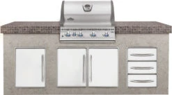 Napoleon LEX 485 Edelstahl Einbaugrill Gas - Modell 2023