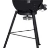 Outdoorchef Gas Kugelgrill Chelsea 420 G