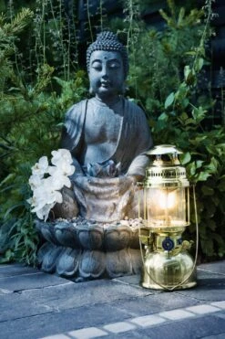 Petromax Petroleumlampe HK500/829 Messing -Camping Geschäft petromax starklichtlampe hk500 px5m 16